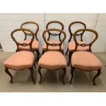 Six walnut balloon back chairs