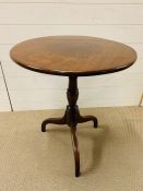 A mahogany tilt top occasional table on tripod legs (H68cm W60cm D60cm)