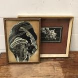 A pair of mixed media black and white ilustrations, signed "Joan Gilbert" and "D.Smith", framed