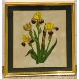 Nellie D. Speller (act. XX), "Orchids", signed with initials lower right, watercolour, framed and