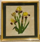 Nellie D. Speller (act. XX), "Orchids", signed with initials lower right, watercolour, framed and