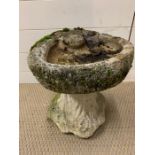 A garden bird bath (H37cm W32cm)