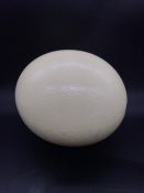 An Ostrich Egg