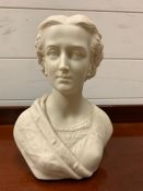 A Bust of a Lady