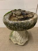 A garden bird bath (H37cm W32cm)