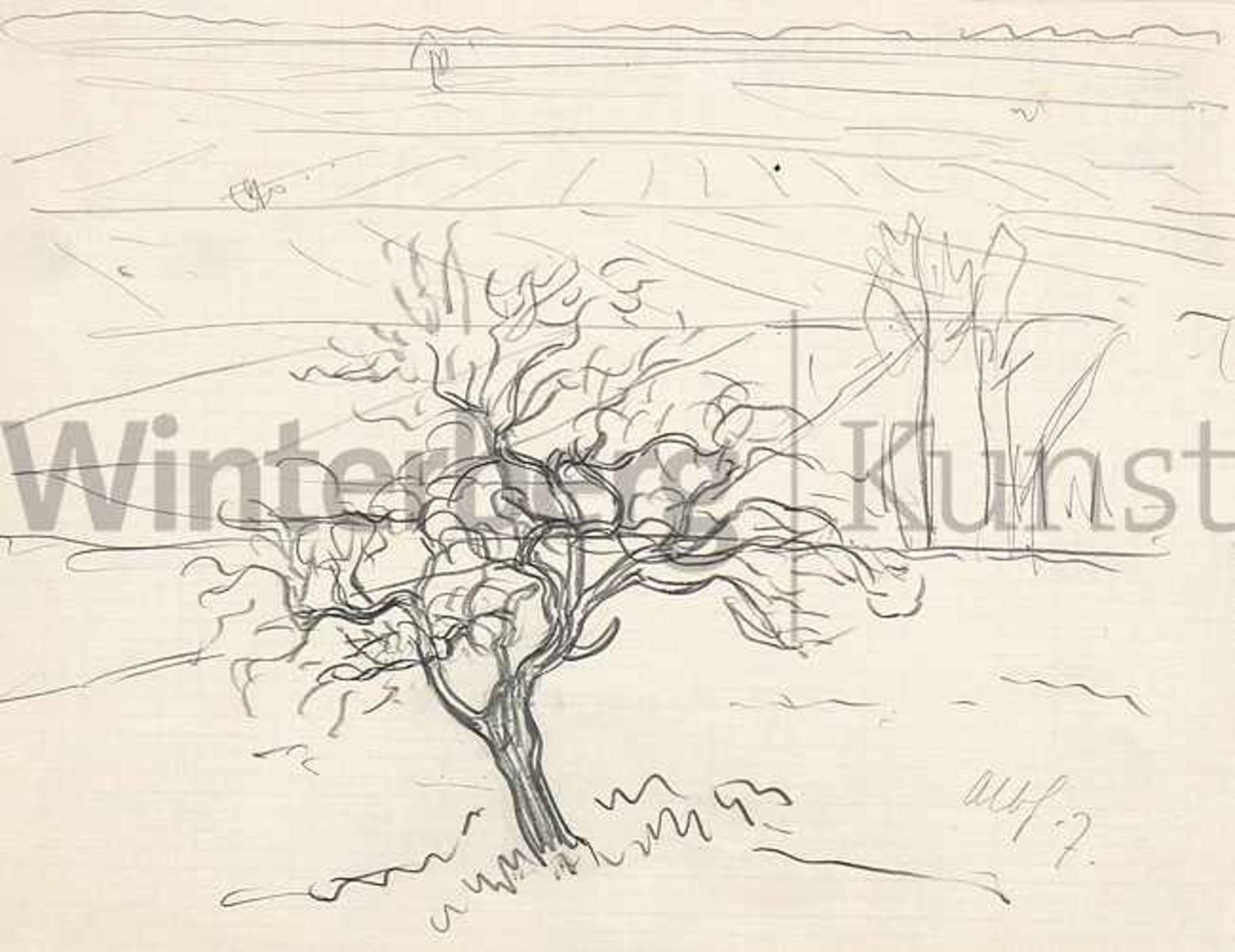 ALBERT HAUEISEN Stuttgart 1872 - 1954 KandelWeite Landschaft mit Baum - Landschaft mit kleinem