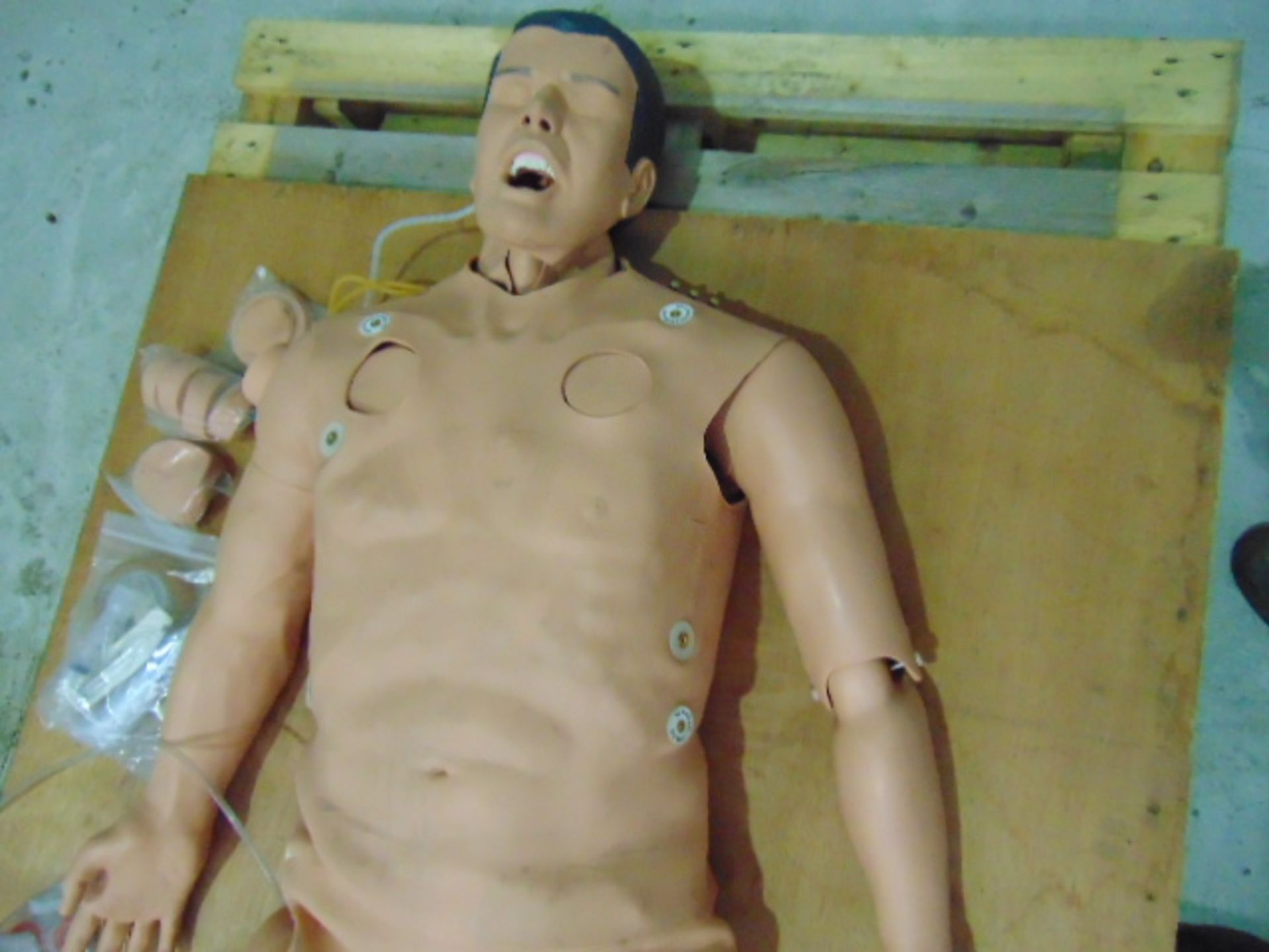 Simulaids PDA STAT simulator manikin - Image 5 of 8