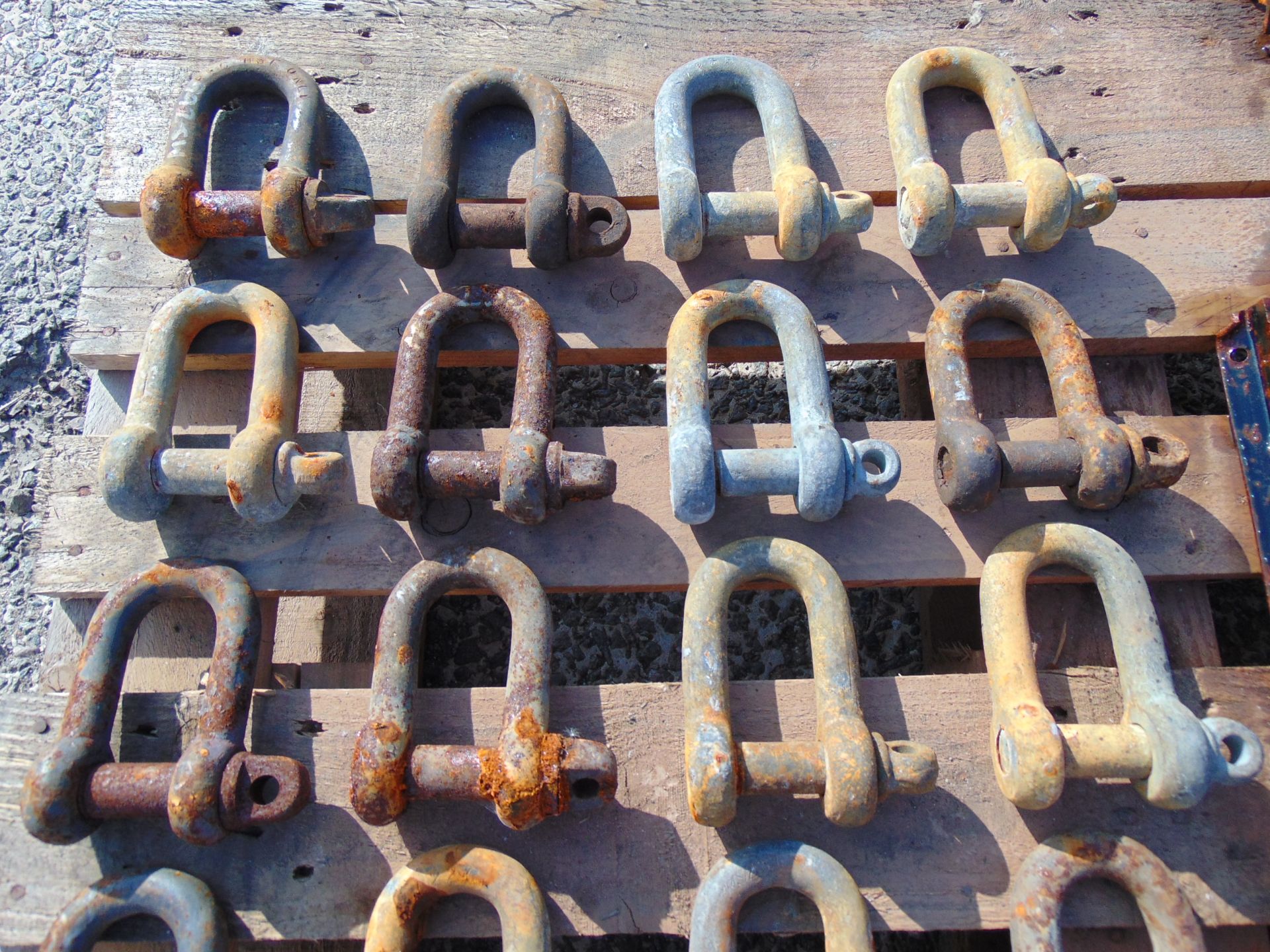 20 x D Shackles - Image 3 of 4