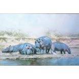 After David Shepherd, HIPPO HEAVEN, print, signed in pencil and dedication verso, framed and