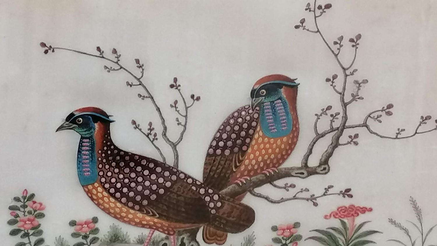 Two 19th century Chinese watercolours on paper of birds with allegorical border depictions in - Image 3 of 7