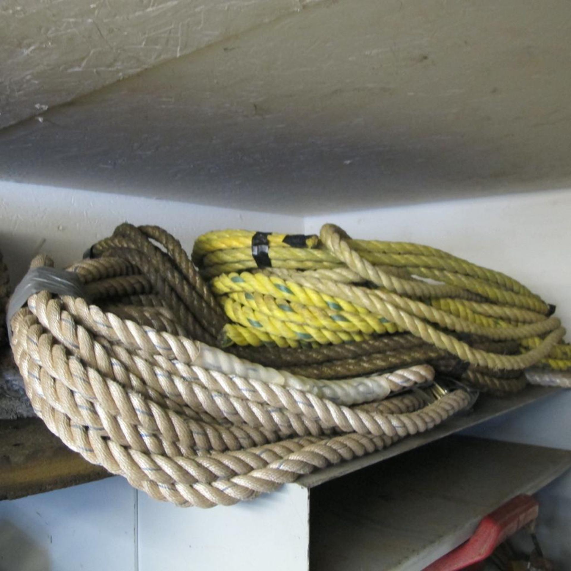 CONTENTS OF 2 UPPER SHELVES IN CAGE (INCL STRAPS, HILTI HDM 500 DISPENSERS, TOOL BOX, ROPES, FIRE BL - Image 6 of 6