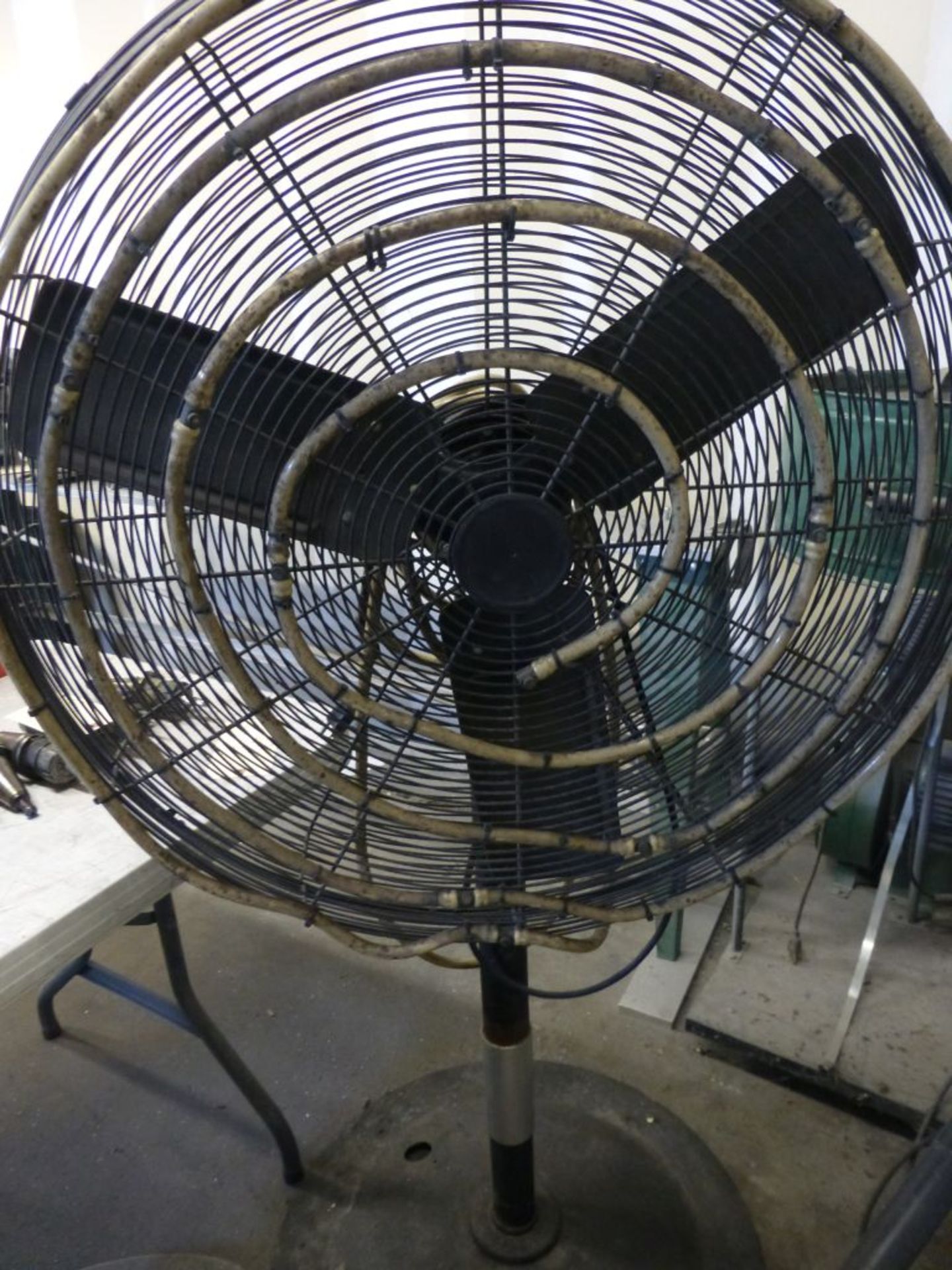 Pedestal Fan