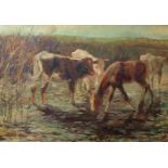 BLUM, Rudolf (*1896 Wien †1973 ebd), Öl/ Hartfaserplatte, Kühe und Pferd an der Tränke, links