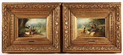 SCHEUERER, Otto (1862-1934), Paar Gemälde "Federvieh", Öl/Holz, 18,5 x 24,5, jeweils signiert und "