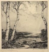 ACHENBACH (Zeichner um 1900), "Aufziehender Regen in der Eifel", Bleistift/Papier, 21 x 20,5,