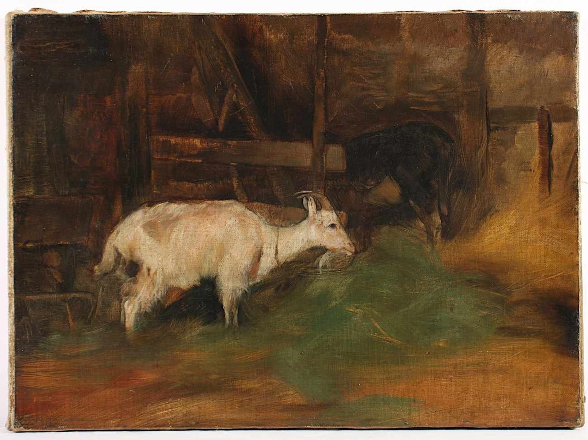 DÜSSELDORFER SCHULE UM 1900, "Studie einer Ziege", Öl/Lwd., 31 x 43, doubliert - Image 2 of 3