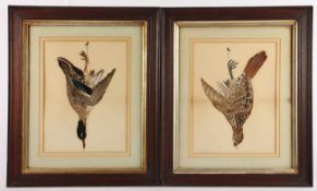 ZWEI JAGDTROPHÄEN, mit echten Vogelfedern (Ente und Fasan), auf Papier montiert, koloriert, (