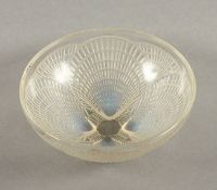 RUNDES ART DECO-SCHÄLCHEN "COQUILLE", farbloses, opaleszentes Glas, reliefierter Muscheldekor, Dm