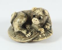 NETSUKE HUND, Elfenbein, Augen schwarzes Horn, auf übereinander liegenden Regenumhang und Strohhut