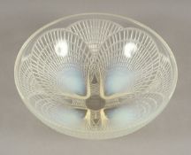 SCHALE, "Coquilles No.2", gepresstes Glas, opalisierend, am Boden signiert, Dm 21, LALIQUE,