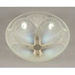 SCHALE, "Coquilles No.2", gepresstes Glas, opalisierend, am Boden signiert, Dm 21, LALIQUE,