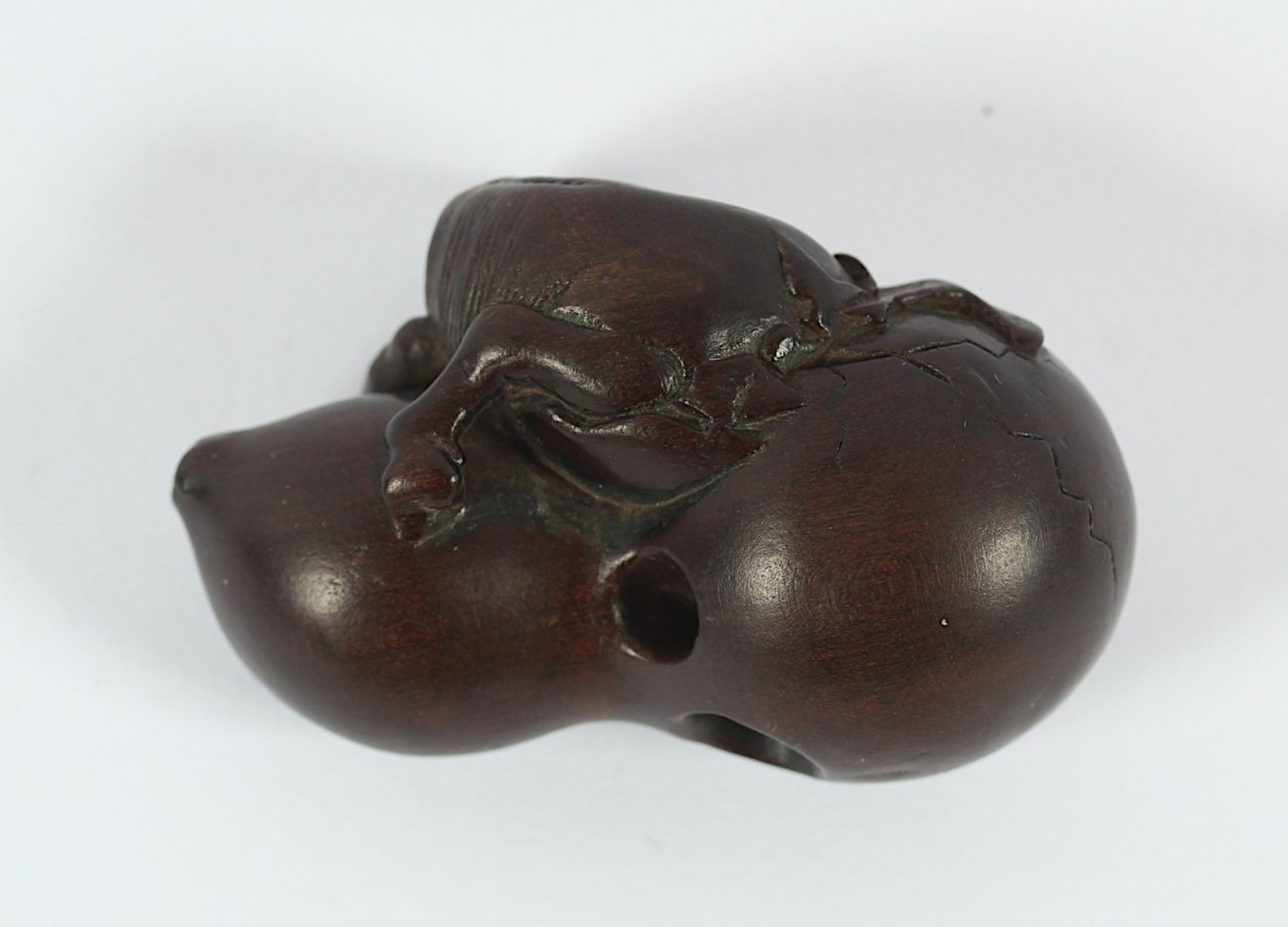 NETSUKE CHOKAROS PFERD, Buchsbaum, das Pferd befreit sich mühevoll aus einer Kalebasse, während es - Bild 3 aus 4