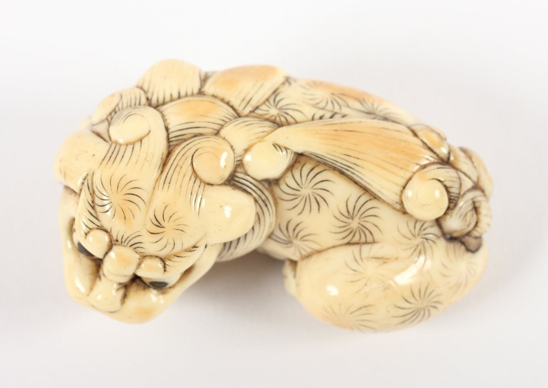 NETSUKE GROSSER LIEGENDER SHISHI, Elfenbein, Augen schwarzes Horn, der große liegende Löwe hat die - Bild 4 aus 5