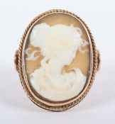 GEMMENRING, 585/ooo Gelbgold, geschnittenes Muschelcameo, berieben, RG 54, 6,8g