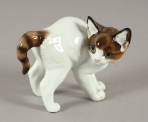 "KLEINE KATZE", naturalistisch bemalt, H 9,5, Modell von Theodor KÄRNER um 1923, ROSENTHAL, SELB, um