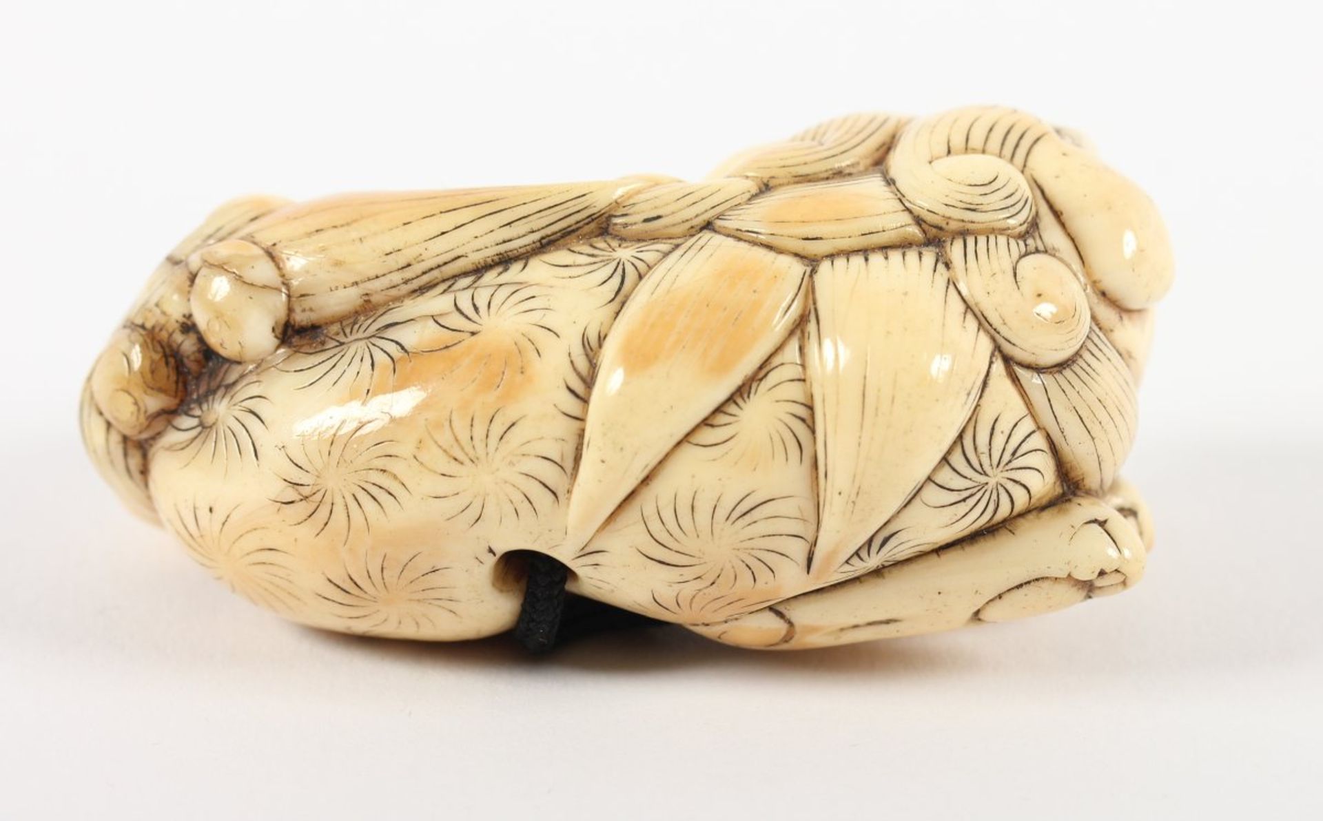 NETSUKE GROSSER LIEGENDER SHISHI, Elfenbein, Augen schwarzes Horn, der große liegende Löwe hat die - Bild 3 aus 5