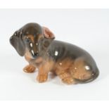 "DACHSHUND", naturalistisch bemalt, H 8, ROYAL COPENHAGEN, 20.Jh.