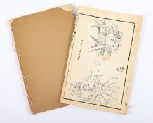 ZEICHNUNGSVORLAGEN, zwei gebundene Bände, Vorlagen zu Bergen, Pflanzen und Vögeln, 13 x 20, min.