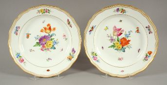 PAAR TELLER, Aufglasur gemalt farbige Blumen und Insekten, Goldstaffage und Rand, Dm 25, MEISSEN,