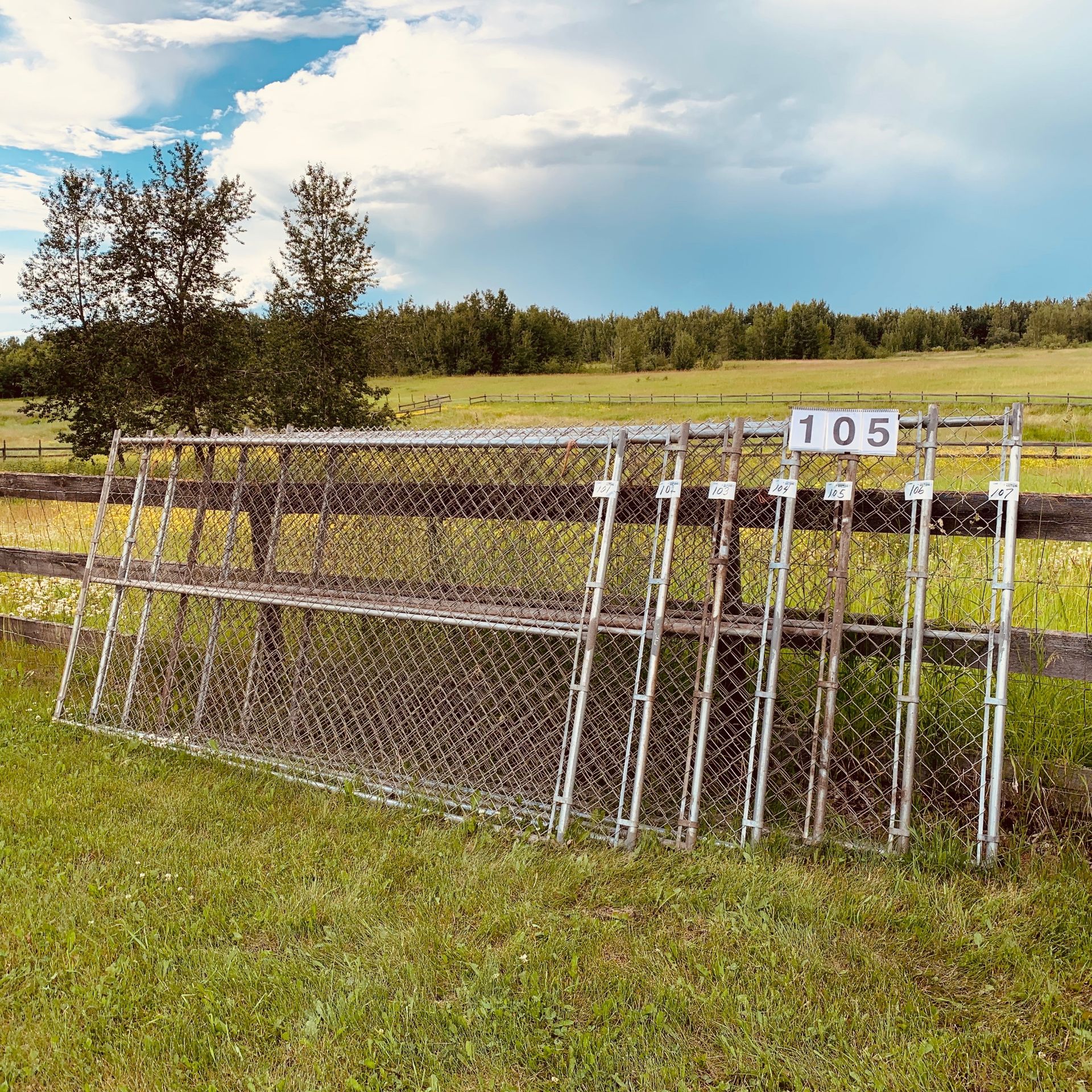 5x10 Chain Link Panel (1 Panel)