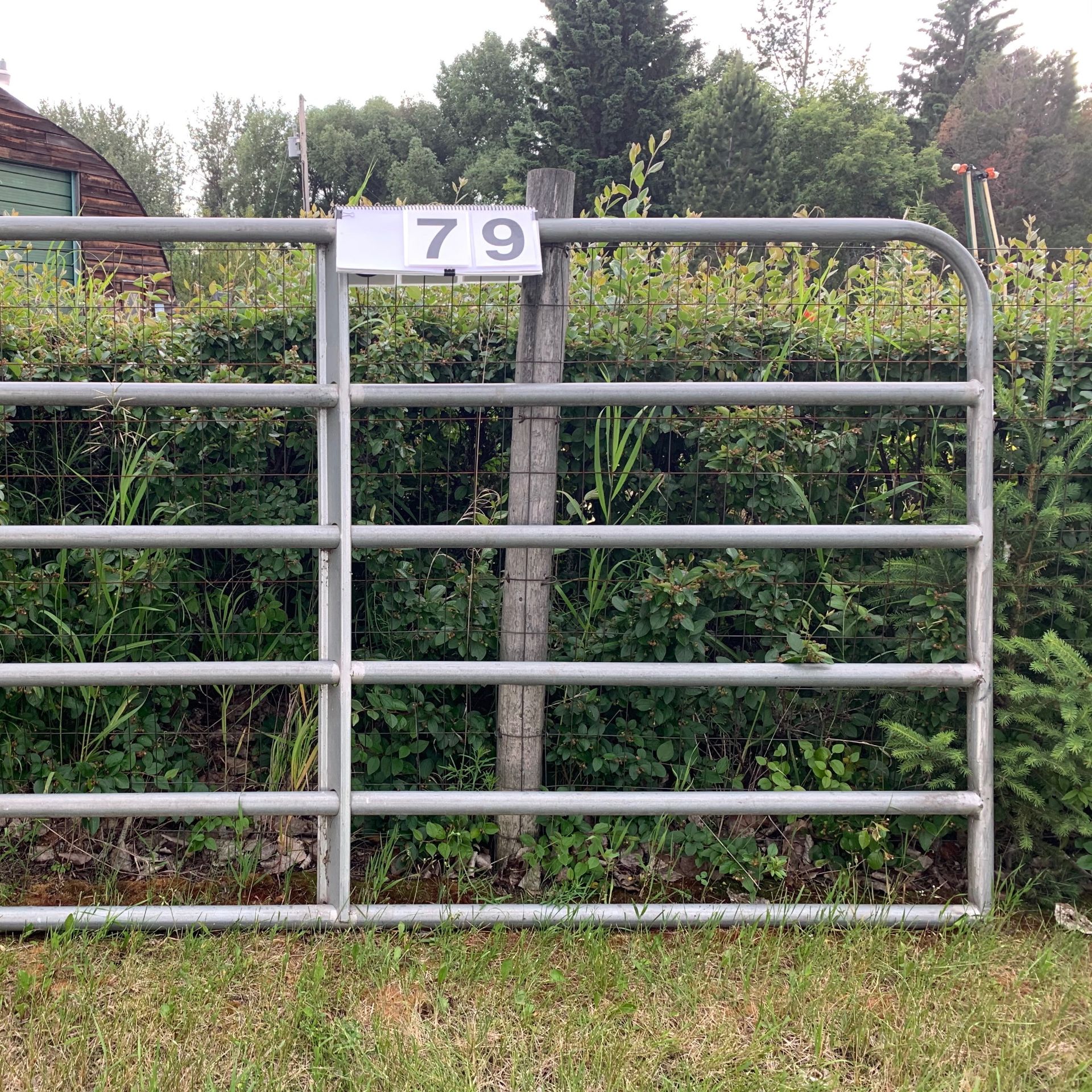 8Ft Steel Gate