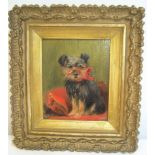 Bessie Bamber (Liverpool active 1890-1910) miniature oil portrait on board, of a terrier in original