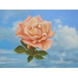 Ray Greenfield (Inverness, Scotland, died 2016) oil on board, "Floating Rose", signed, wood frame,