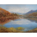 Unsigned 20thC oil on board of a mountainous lake scene", in a thin frame, The painting measures