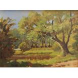 Unsigned, last quarter 20C British oil on board, "Woodland pond", framed, 29 x 39 cm