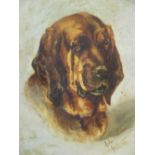 Indistinctly signed, circa 1900 oil on canvas, portrait, head study of a bloodhound, old frame, 33 x