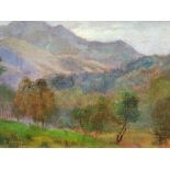 Superb Edwardian oil on canvas, "Extensive British landscape" bears signature Alfred Strutt, wide