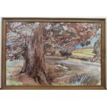 Barbara BRASSEY (1911-2010), watercolour "The tree lined road", unsigned, framed, The w/c measures
