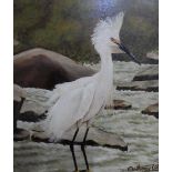 Anthony W Peck 1970s/80s oil on board, of a Heron, signed, wood frame, The painting measures 23 x 23