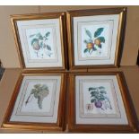 Four modern day prints of fruit, after the 18thC originals in matching gilt frames