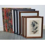 Eleven good quality small frames, some with old prints (11)