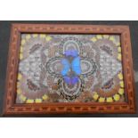 Inlaid wooden coffee table with Brazilian butterflies under glass covering the table top, The