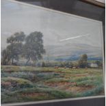 Reginald ASPINWALL (1858-1921) 1919 watercolour "Cattle in extensive landscape", framed The w/c