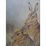 Indistinctly signed watercolour portrait of 2 Hares in thin wood frame, The w/c measures 17 x 12 cm