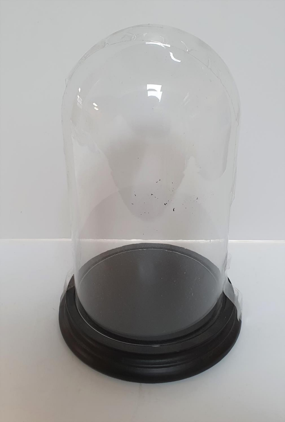 Glass dome on ebonised wood base, 31 cm tall