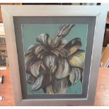 Indistinctly signed chalks study of a flower, framed, 49 x 38 cm